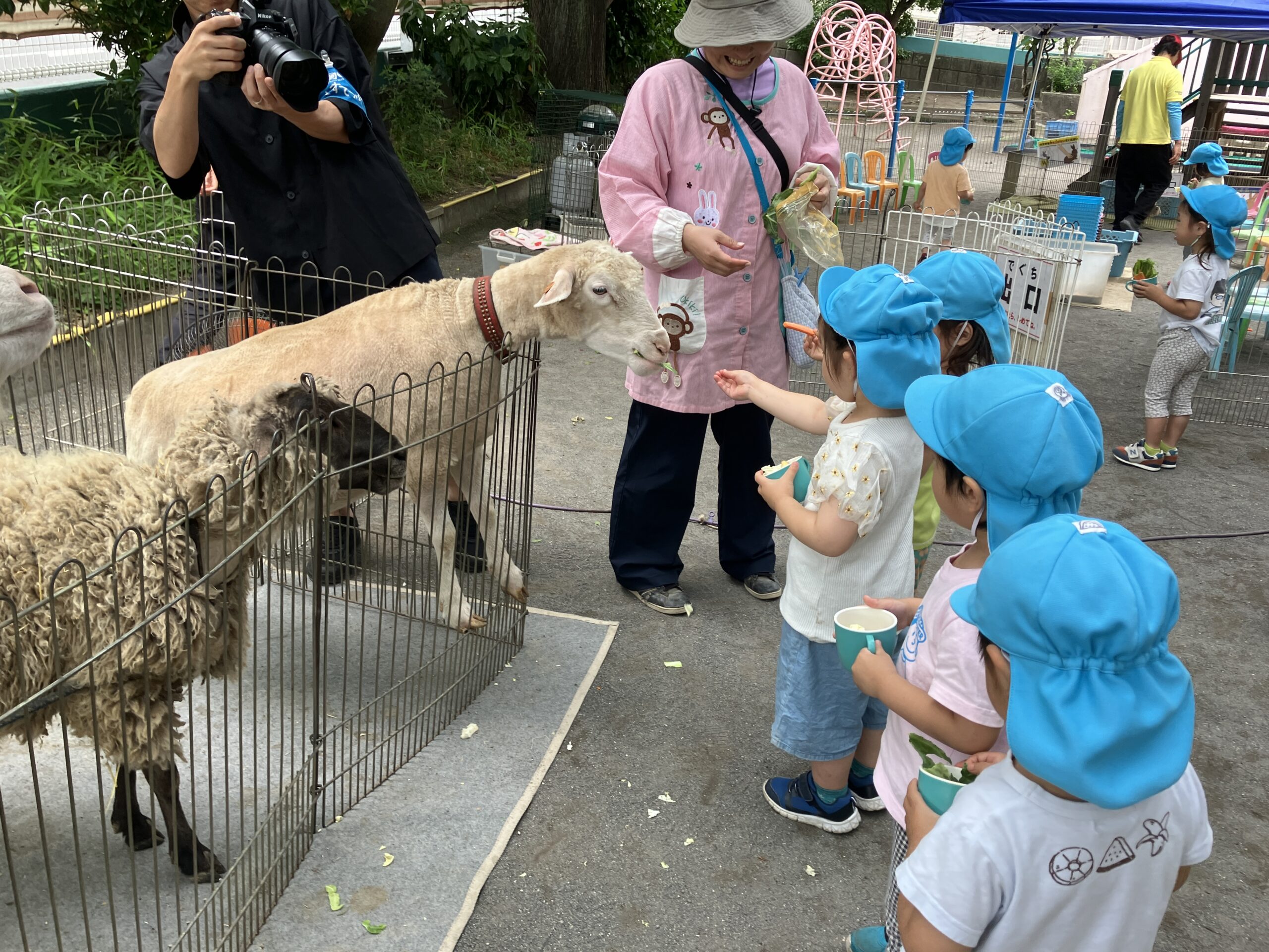 R８年度　どうぶつ村(５月２９日)